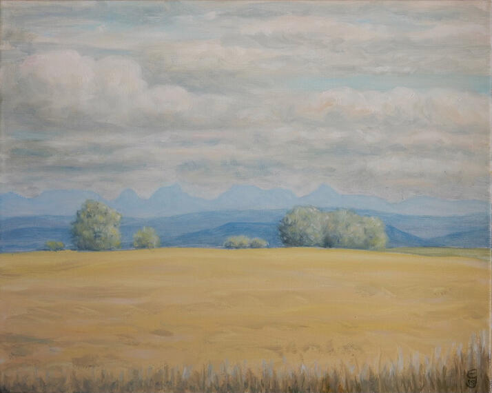 Bewölkter Sommertag mit Gantrischkette